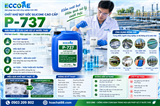 P 737 Khử Bọt Nước Thải Chăn Nuôi – Giải Pháp Phá Bọt, Chống Tạo Bọt Eco One VN